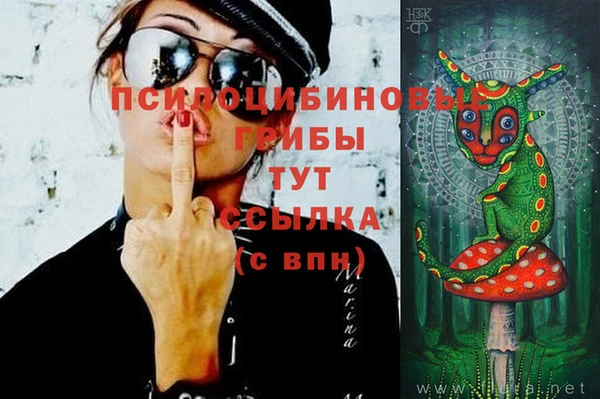 герыч Семикаракорск