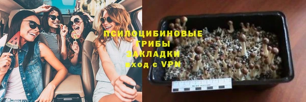 стаф Абинск