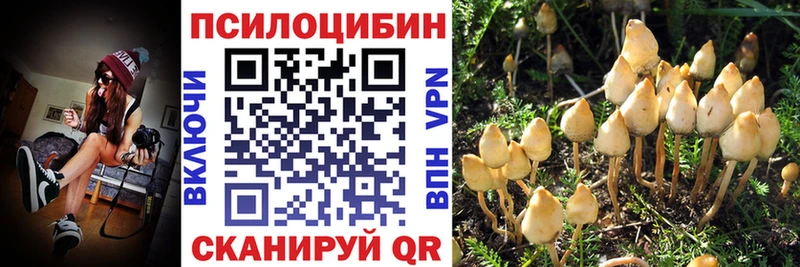 продажа наркотиков Нижняя Салда даркнет формула Галлюциногенные грибы мухоморы